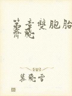 第章双胞胎姐妹齐飞