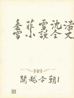 秦菲雪沈浩秦菲雪小说全文免费阅读求书