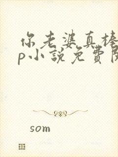 你老婆真棒多cp小说免费阅读