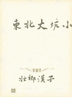 东北大坑小说