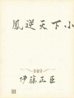 凤逆天下小说