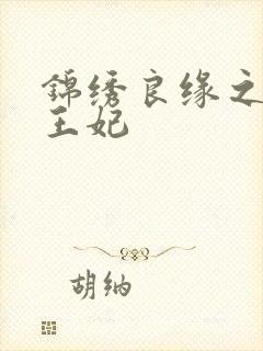 锦绣良缘之北地王妃