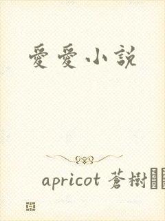 爱爱小说