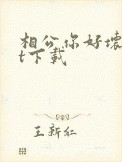 相公你好坏txt下载