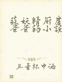 苏妖精厨房爹爹爸爸的小说