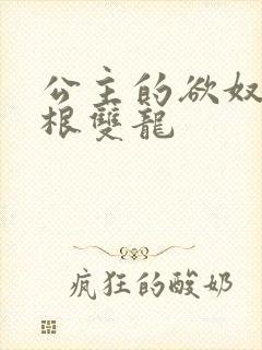 公主的欲奴h四根双龙