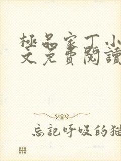 极品家丁小说全文免费阅读