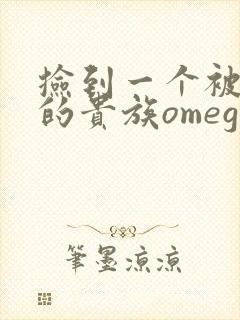 捡到一个被抹布的贵族omega