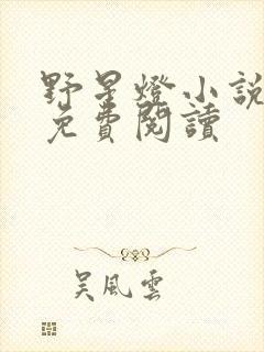 野星灯小说全文免费阅读