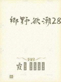 乡野欲潮28章