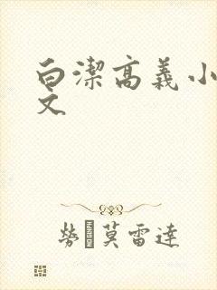 白洁高义小说全文