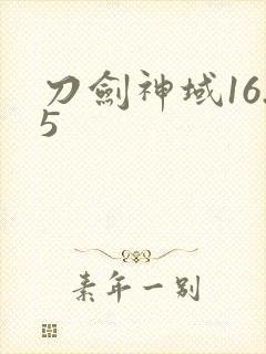 刀剑神域16.5