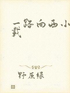 一路向西小说下载