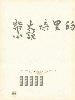 柴火垛里的疯狂小说