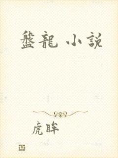 盘龙 小说