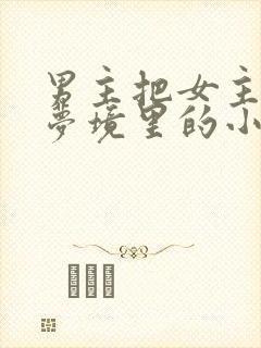 男主把女主拖进梦境里的小说