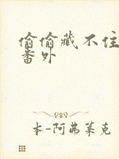 偷偷藏不住新婚番外