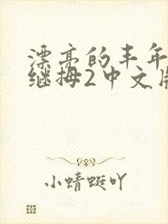 漂亮的丰年经的继拇2中文版