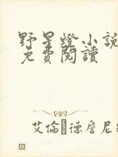 野星灯小说全文免费阅读