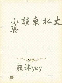 小说东北大炕全集