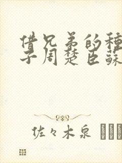 借兄弟的种生孩子周楚臣苏糖