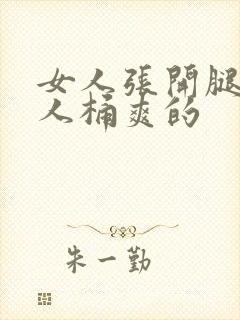 女人张开腿让男人桶爽的