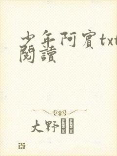 少年阿宾txt阅读