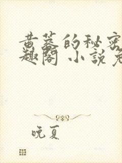 黄蓉的秘密 笔趣阁 小说免费阅读下载