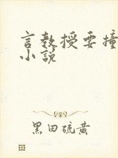 言教授要撞坏了小说