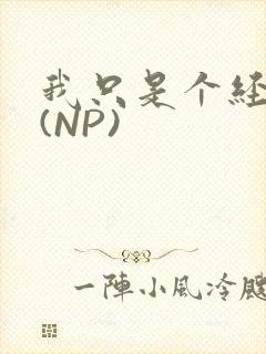 我只是个经纪人(NP)