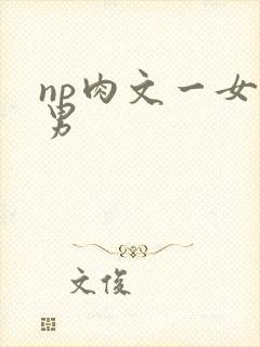 np肉文一女多男