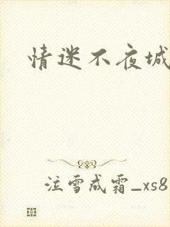 情迷不夜城