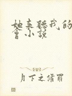 她来听我的演唱会小说