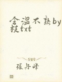 含温不熟by词枝txt