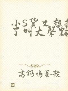 小S货又想挨C了叫大声点小