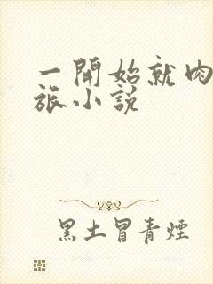 一开始就肉的军旅小说