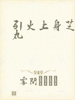 引火上身芝麻糖丸