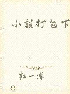 小说打包下载
