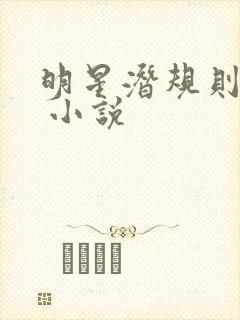 明星潜规则之皇 小说