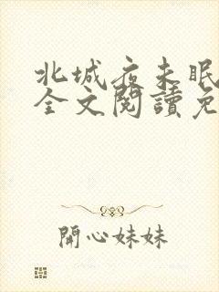 北城夜未眠小说全文阅读免费