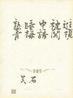 熟睡中被进了H青梅诱哄视频