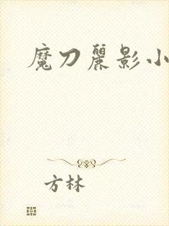 魔刀丽影小说