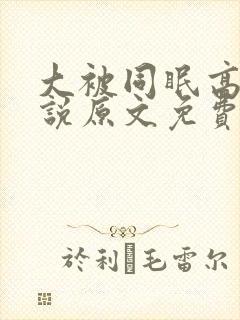 大被同眠高粱小说原文免费阅读