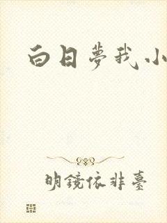 白日梦我小说