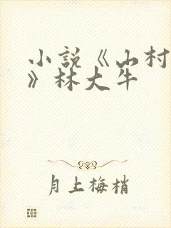 小说《山村情事》林大牛