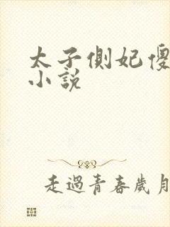 太子侧妃傻乎乎小说