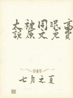 大被同眠高粱小说原文免费阅读