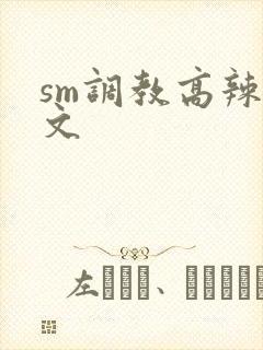 sm调教高辣h文