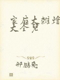 家庭大杂烩小说大全儿