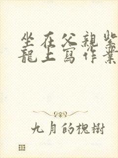 坐在父亲紫色大龙上写作业